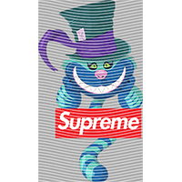 Brand Catalog-ZX 1001